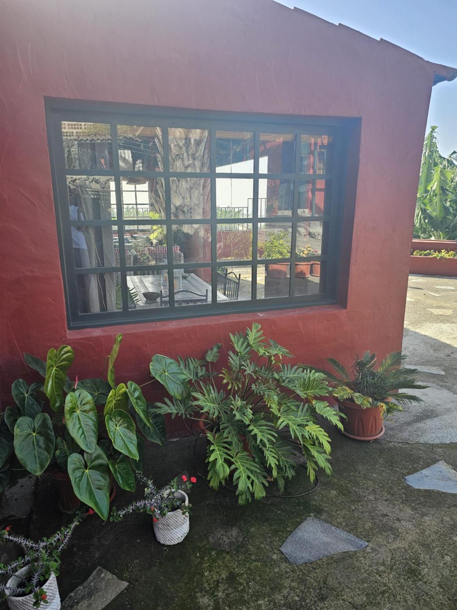 Casa Rural El Pinito Con Piscina Privada エル・パソ エクステリア 写真
