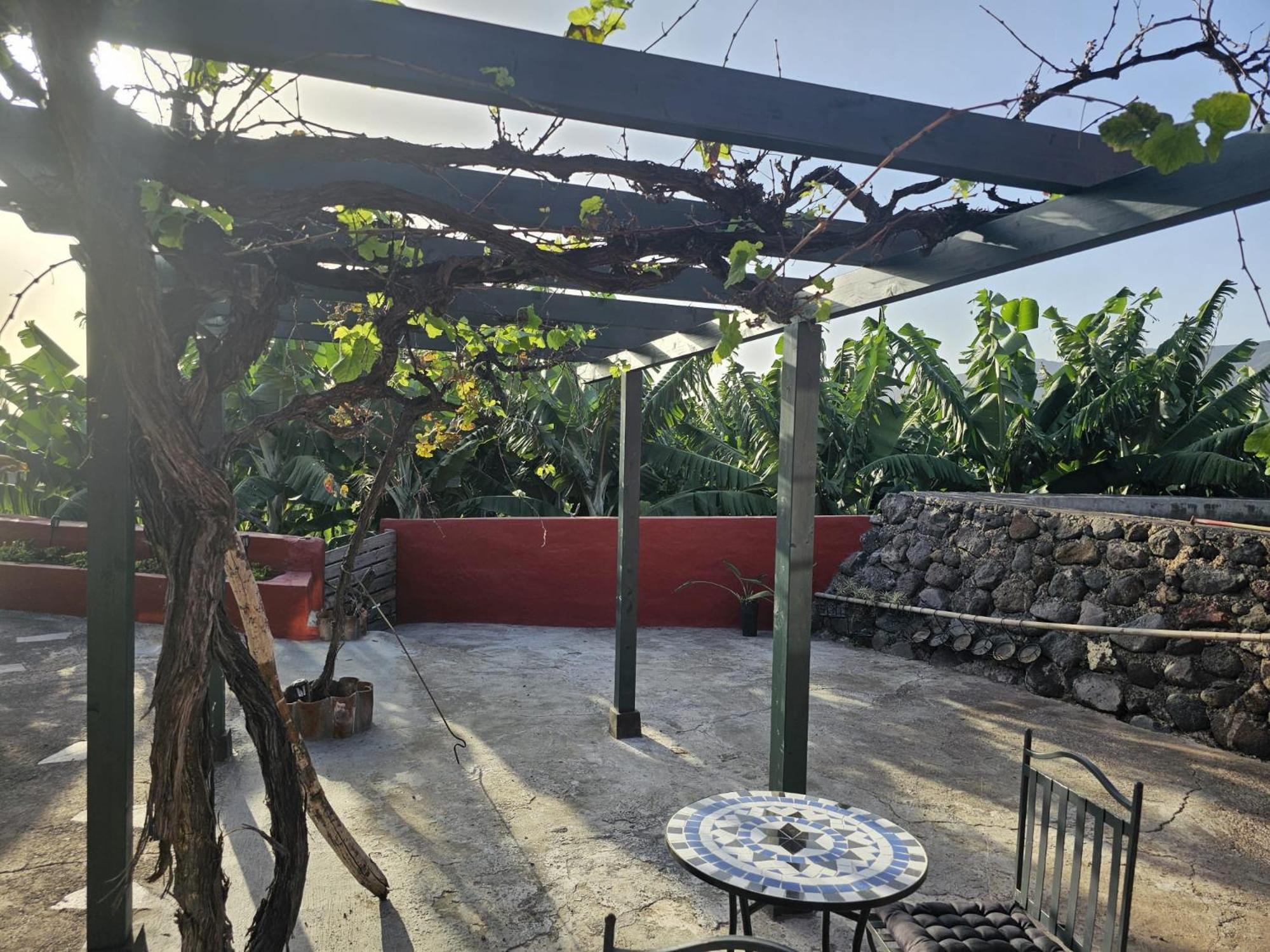 Casa Rural El Pinito Con Piscina Privada エル・パソ エクステリア 写真